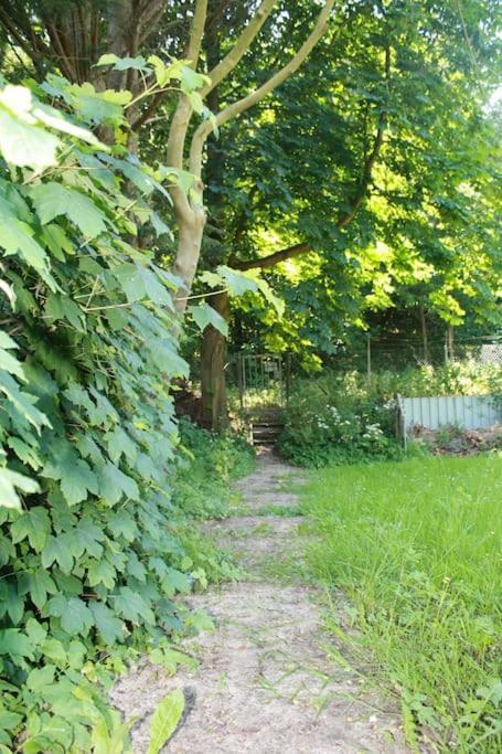 De Bosrand Grenzend Aan Het Bos Villa Castricum Bagian luar foto