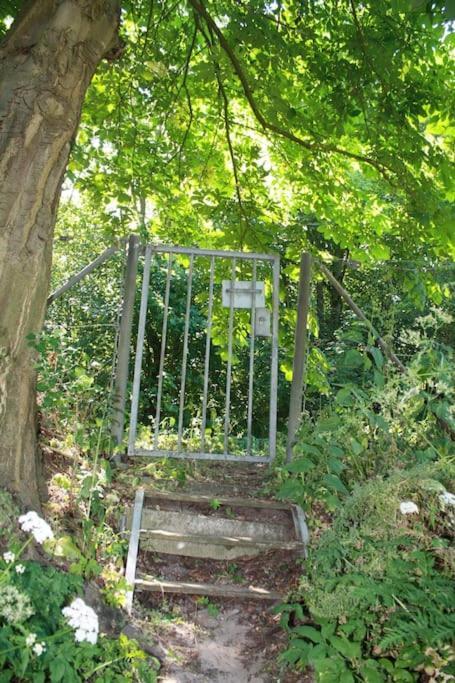 De Bosrand Grenzend Aan Het Bos Villa Castricum Bagian luar foto