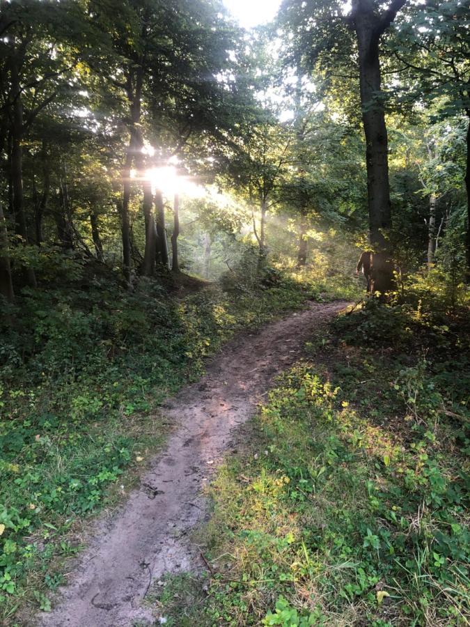 De Bosrand Grenzend Aan Het Bos Villa Castricum Bagian luar foto